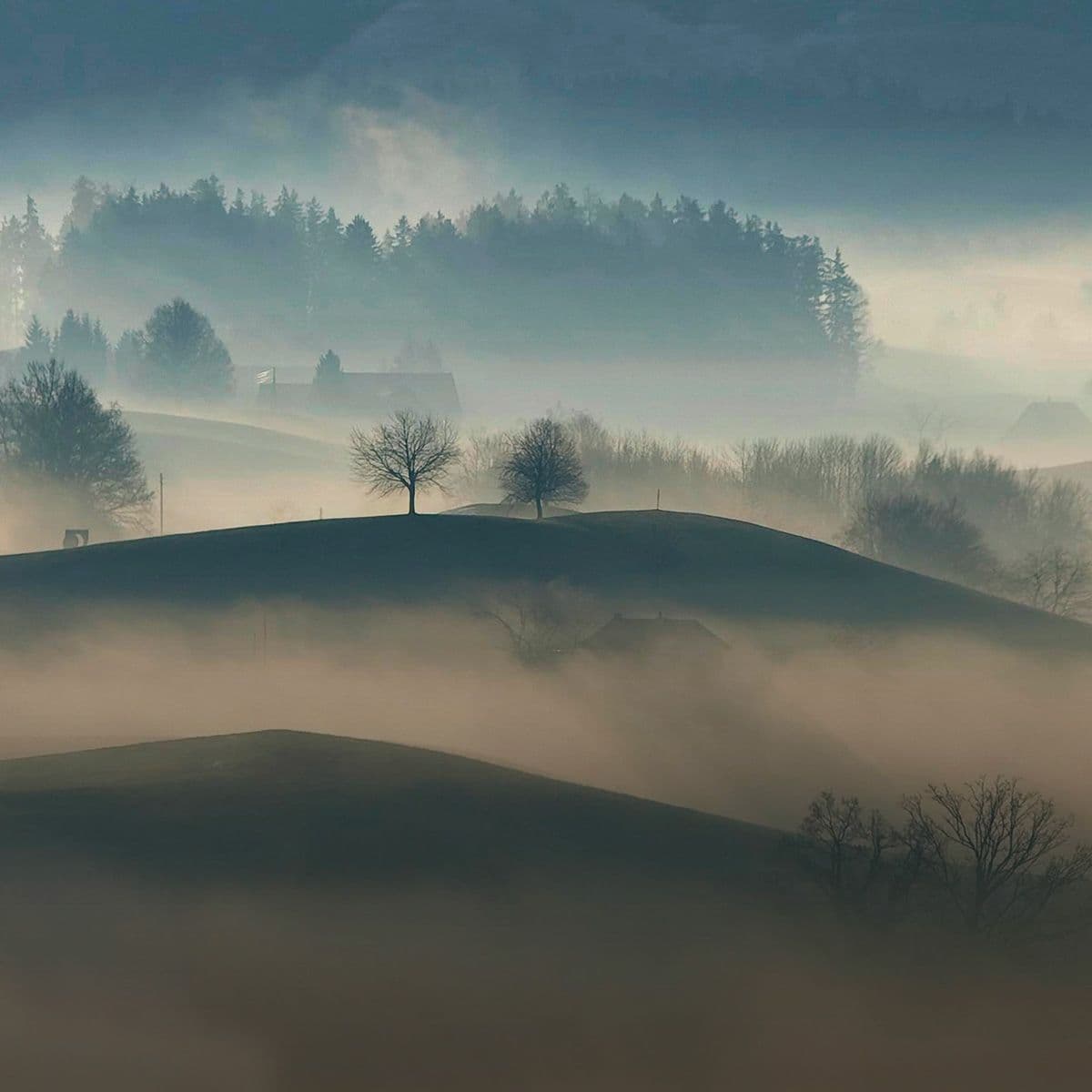 Ambient Music
